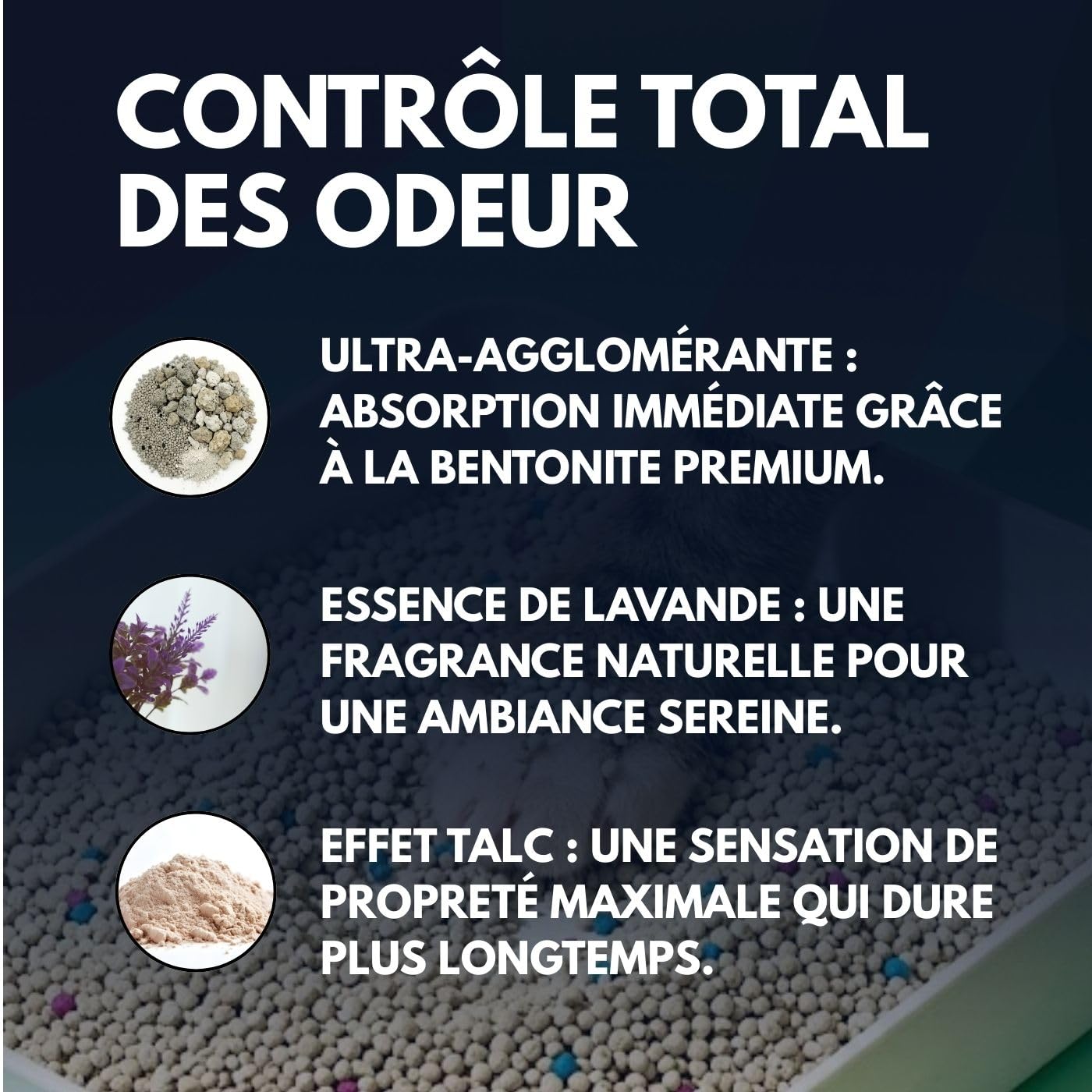 MOLY X6 Litière pour chats bentonite avec charbon actif 16,8 kg 22,2 l | litière agglomérante haute absorption avec arôme de lavande et de talc | Contrôle total des odeurs | Sans poussière | Litière