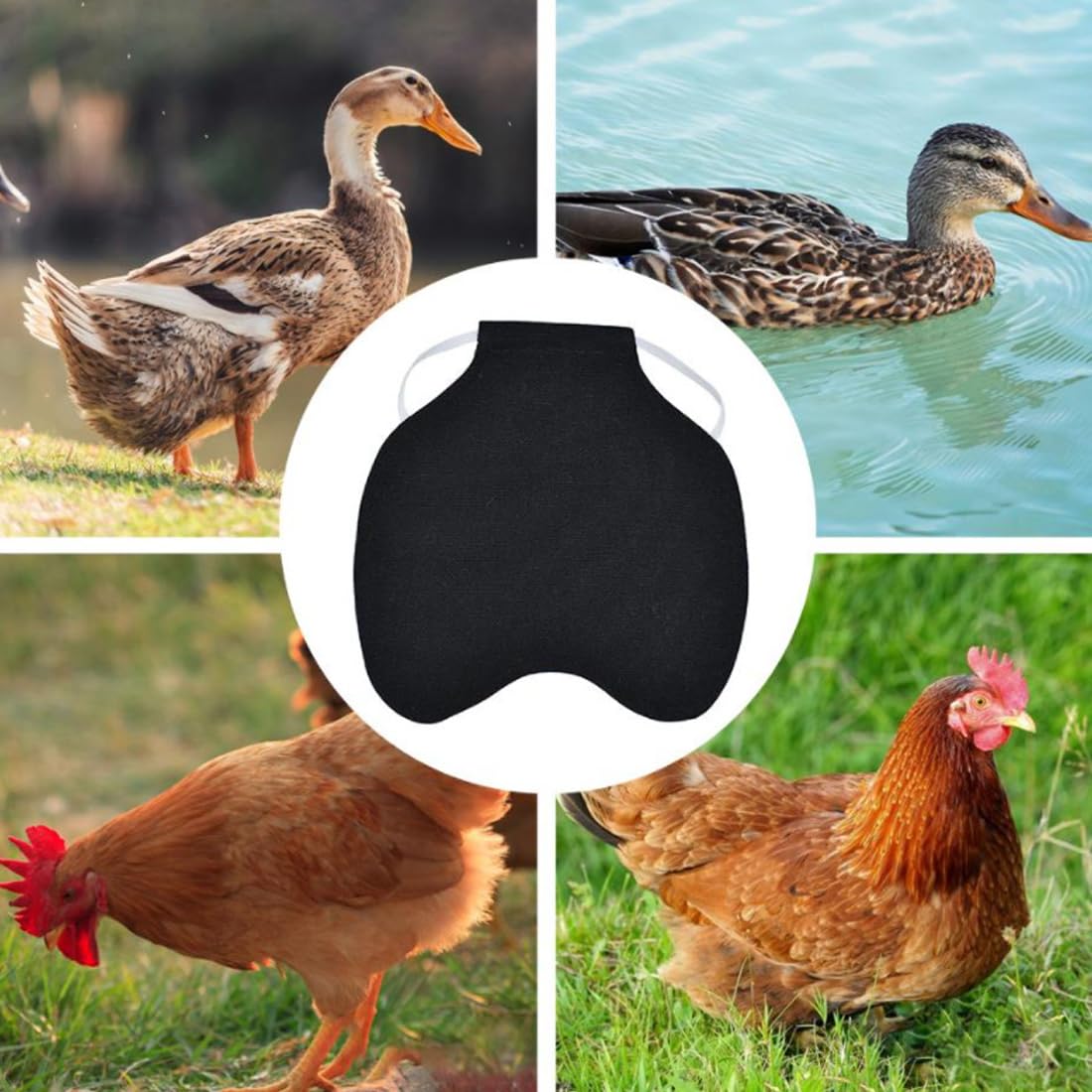 Selle de Protection pour Poules Tablier de Protection des Ailes Protège-Dos pour Poules et Canards Accessoire d'Élevage (Noir)