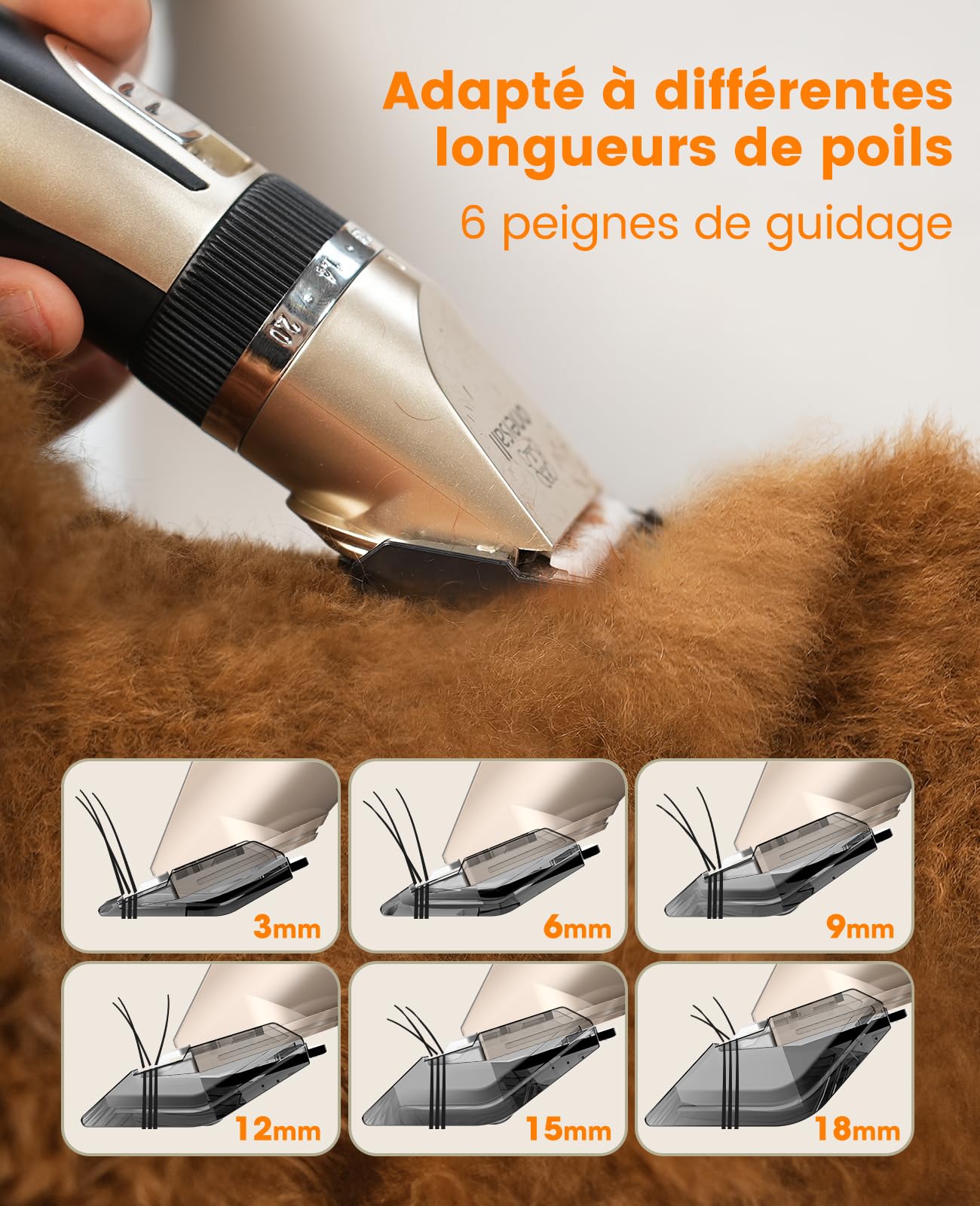 Tondeuse pour chiens et tondeuse pour pattes oneisall, kit 3 en 1, silencieuse, sans fil, pour le toilettage des animaux, pour petits et grands chiens, chats et autres animaux
