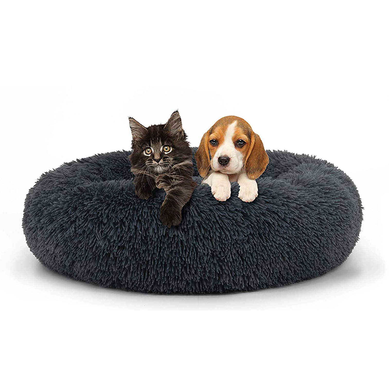 Lit pour chien en peluche pour créer un coin détente cocooning dans votre salon