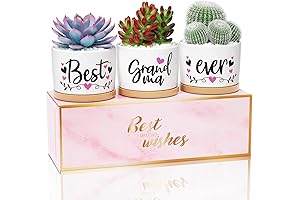 Grandma Plant Pot: A Heartwarming Gift for Your Nana
