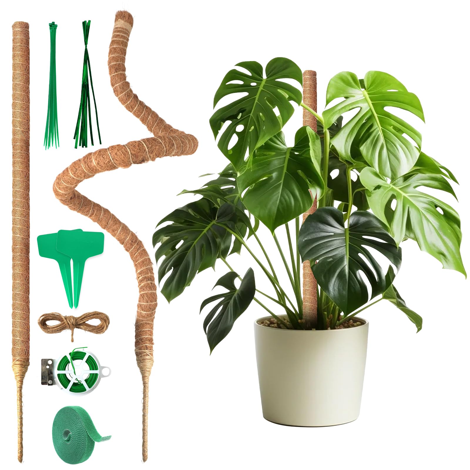 Monstera Rankhilfe 120 cm (2er Set) - Flexible Moosstab für Monstera aus Kokosfaser inkl. Zubehör und Pflanzenstütze für Kletterpflanzen im Innenbereich