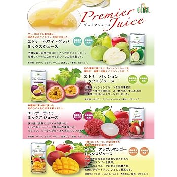 Amazon.co.jp: エトナ ライチミックスジュース 195ml×20本