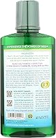 Vista 4 de Auromere Ayurvedic Mouthwash - Vegan, Fluoride Free, Alcohol Free, Natural, Non GMO (16 fl oz), 1 Pack