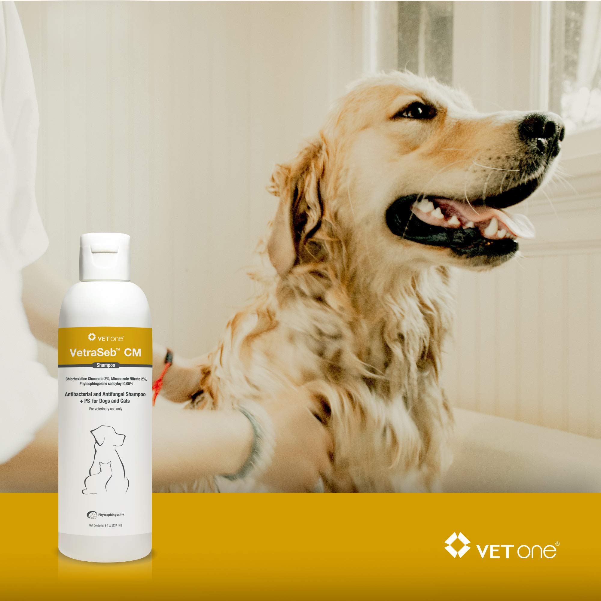 phytosphingosine dog