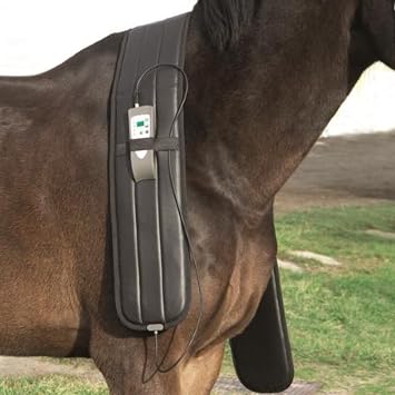 OMI Horses: Full PEMF Package