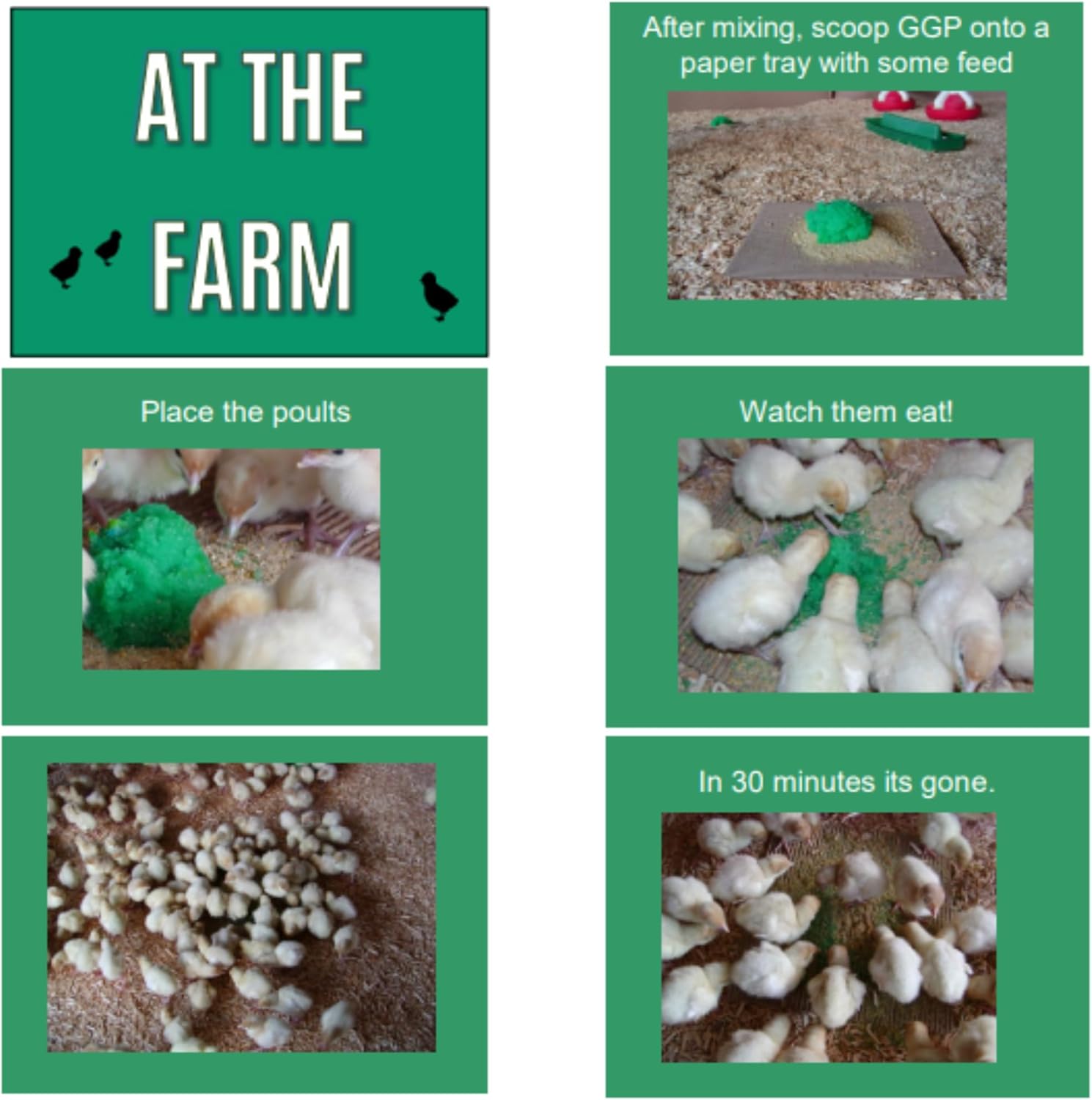 Dawes GROGEL Plus B - Super Hydrating Poultry Gel Plus Nutrition for up to 5,000 Hatchlings