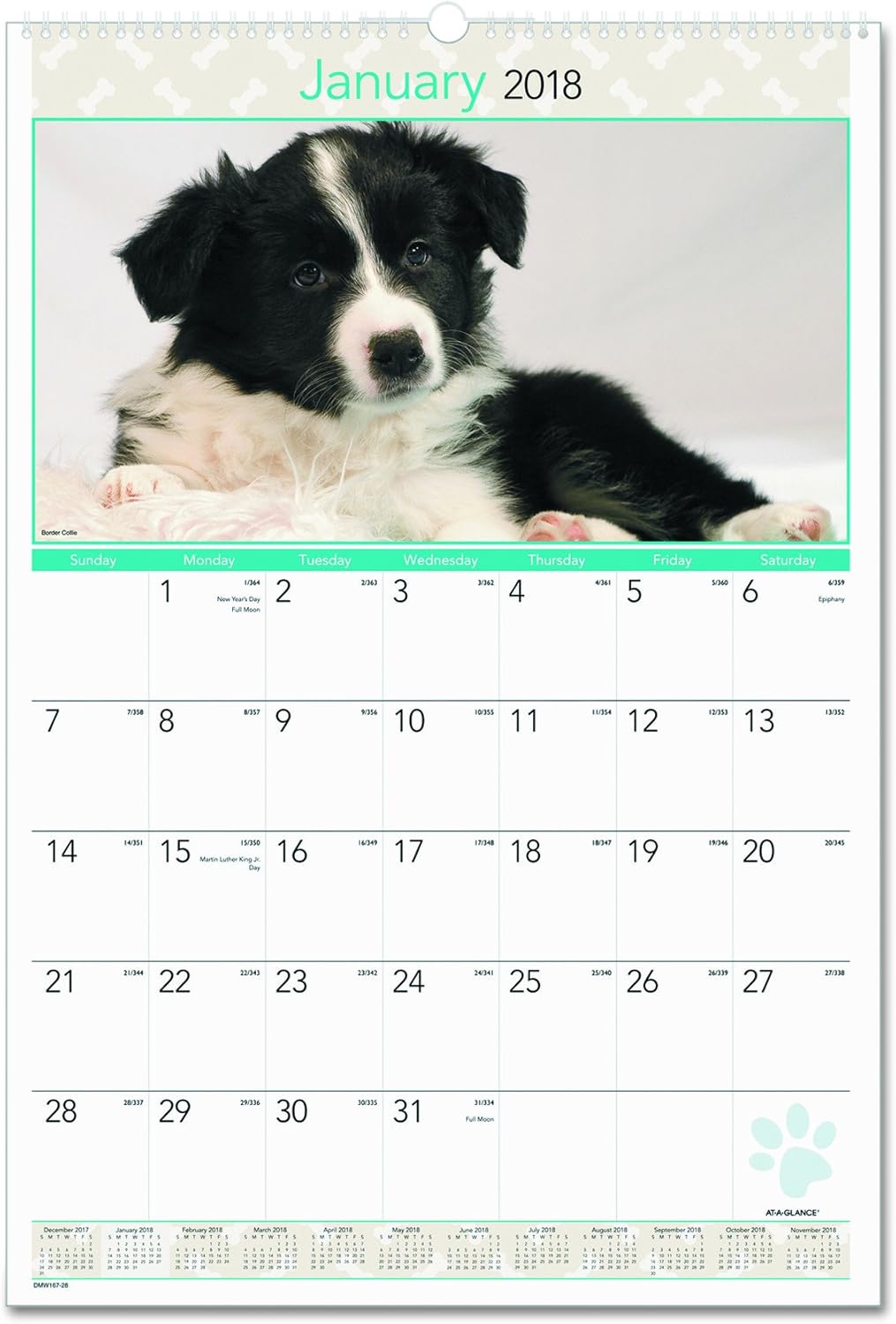 AT-A-GLANCE DMW16728 Puppies Monthly Wall Calendar, 15 1/2 x 22 3/4, 2016