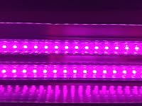 Review Image by LotCoolerIfYouDid LotCoolerIfYouDid