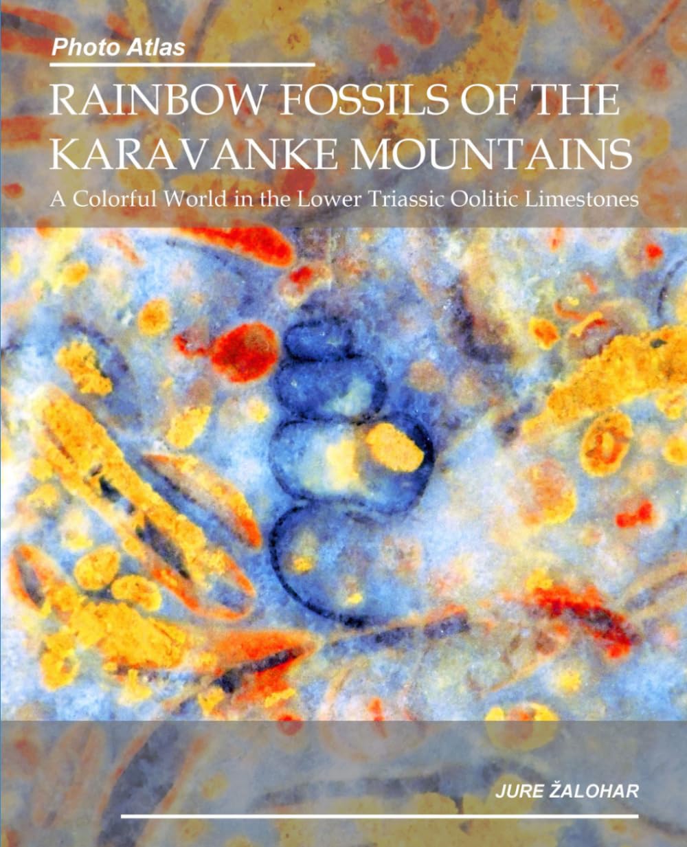 Photo Atlas of the Rainbow Fossils of the Karavanke Mountains: A Colorful World in the Lower Triassic Oolitic Limestones