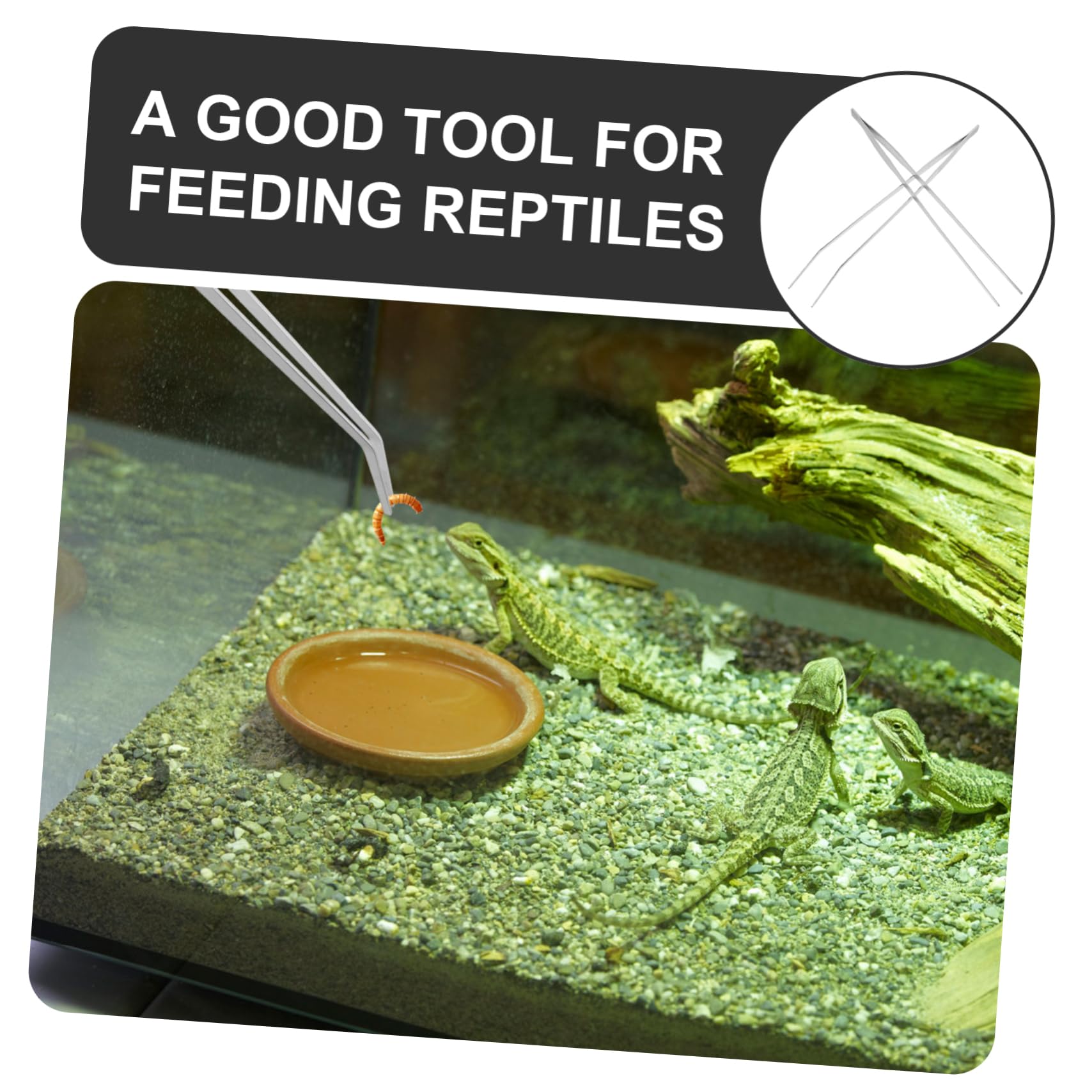2piezas Pinzas De Alimentación Para Reptiles Extralargas Mango Unidades Herramientas Para Terrarios y Acuarios