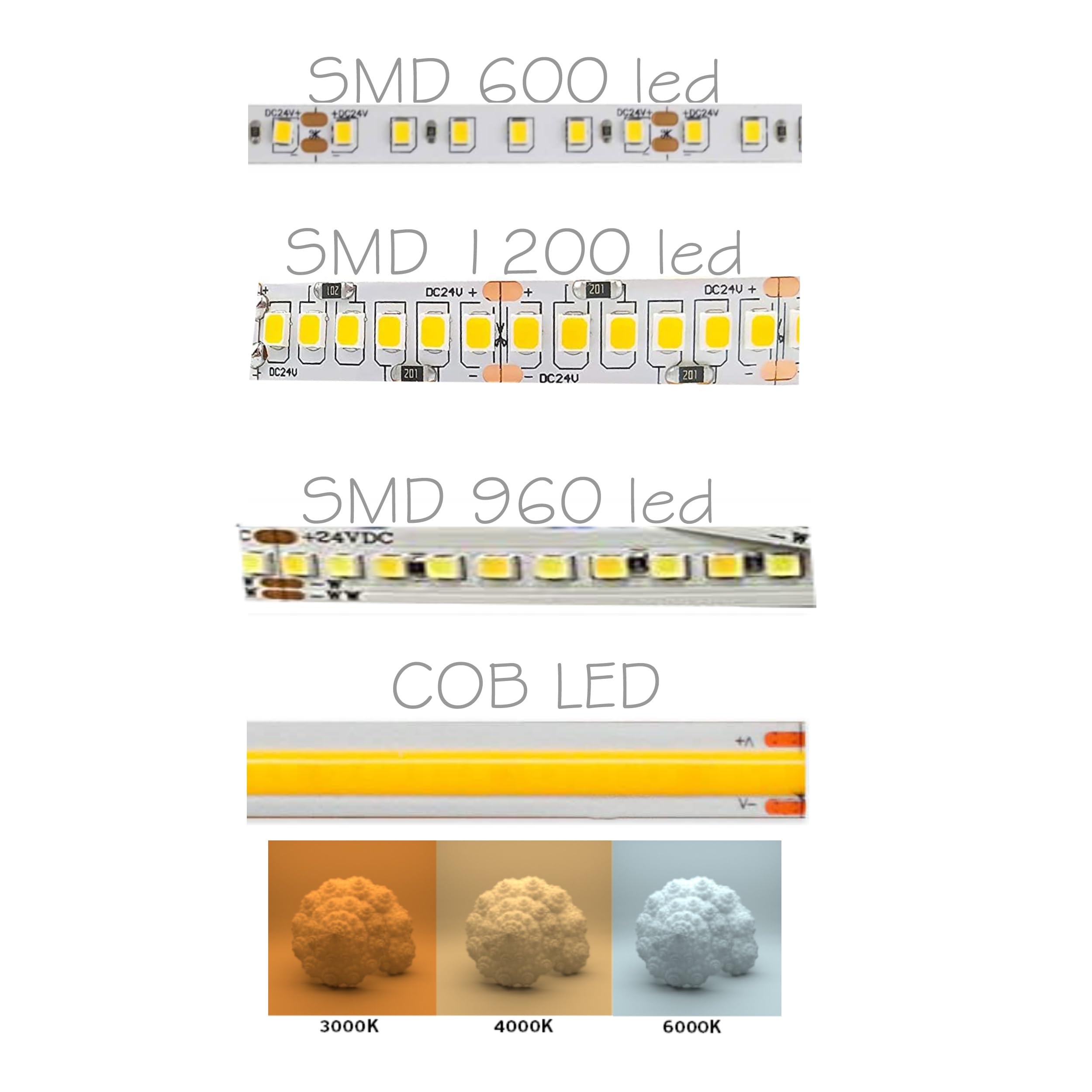 Componex By E-Led Strip LED 5 Metri SMD2835 24V Temperatura Variabile 2700K-6500K Con 1200 LED