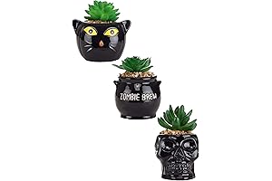 Transpac Halloween Succulent Planter Set - Cauldron, Cat & Skeleton