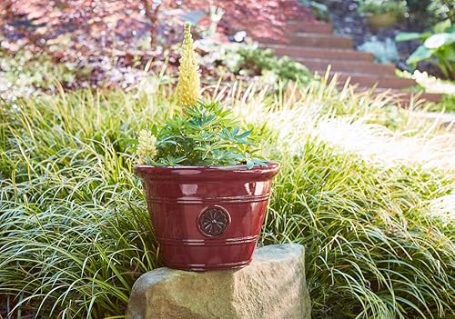 Miniatura 3 de Southern Patio HDP-012498 Modesto - Maceta para interiores y exteriores de 15 pulgadas con orificio de drenaje y tapón, capacidad de 16.38 cuartos