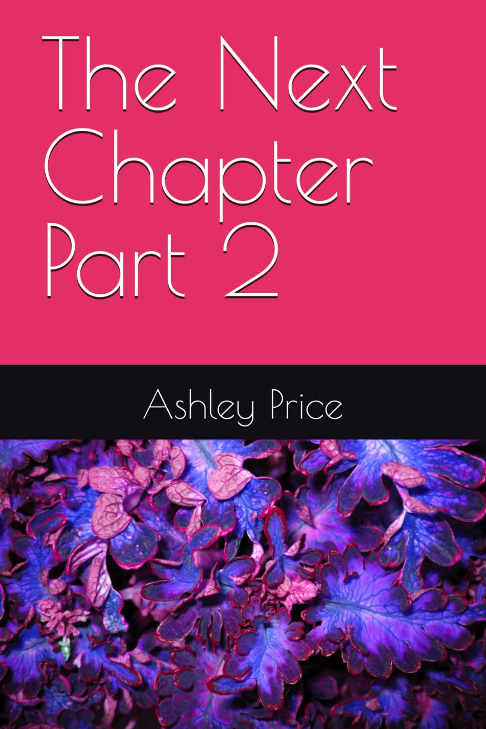 The Next Chapter Part 2