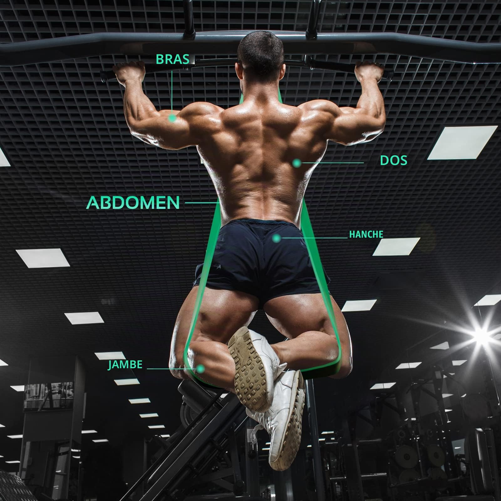 TheFitLife Bandes Elastique Musculation Fitness - Bandes d'exercice Longues Bandes de Boucle d'entraînement pour l'étirement du Corps, la dynamophilie, l'entraînement Physique