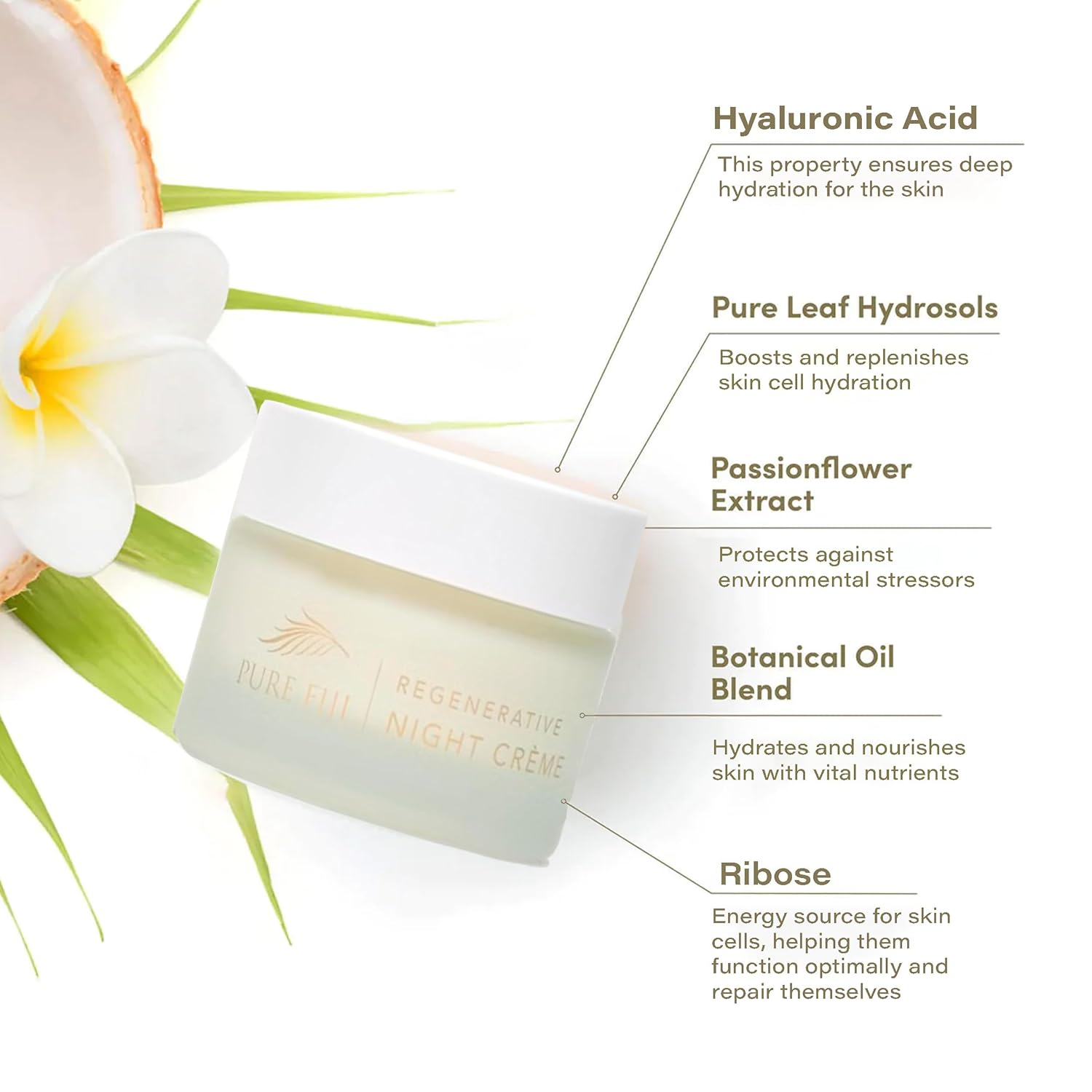 PURE FIJI Regenerative Night Cream Anti Aging Moisturizer, Repair & Hydrate Recovery Cream Night Moisturizer For Face, Natural Formula for All Skin Types, (1.7oz/50ml) - Image 2