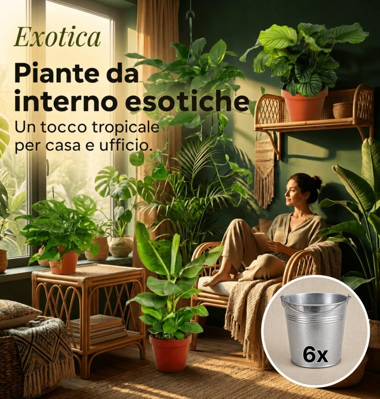 Pflanze Plus | Set di piante « Exotica » | Lotto da 6 piante con vaso in zinco | Pianta da interno facile da curare