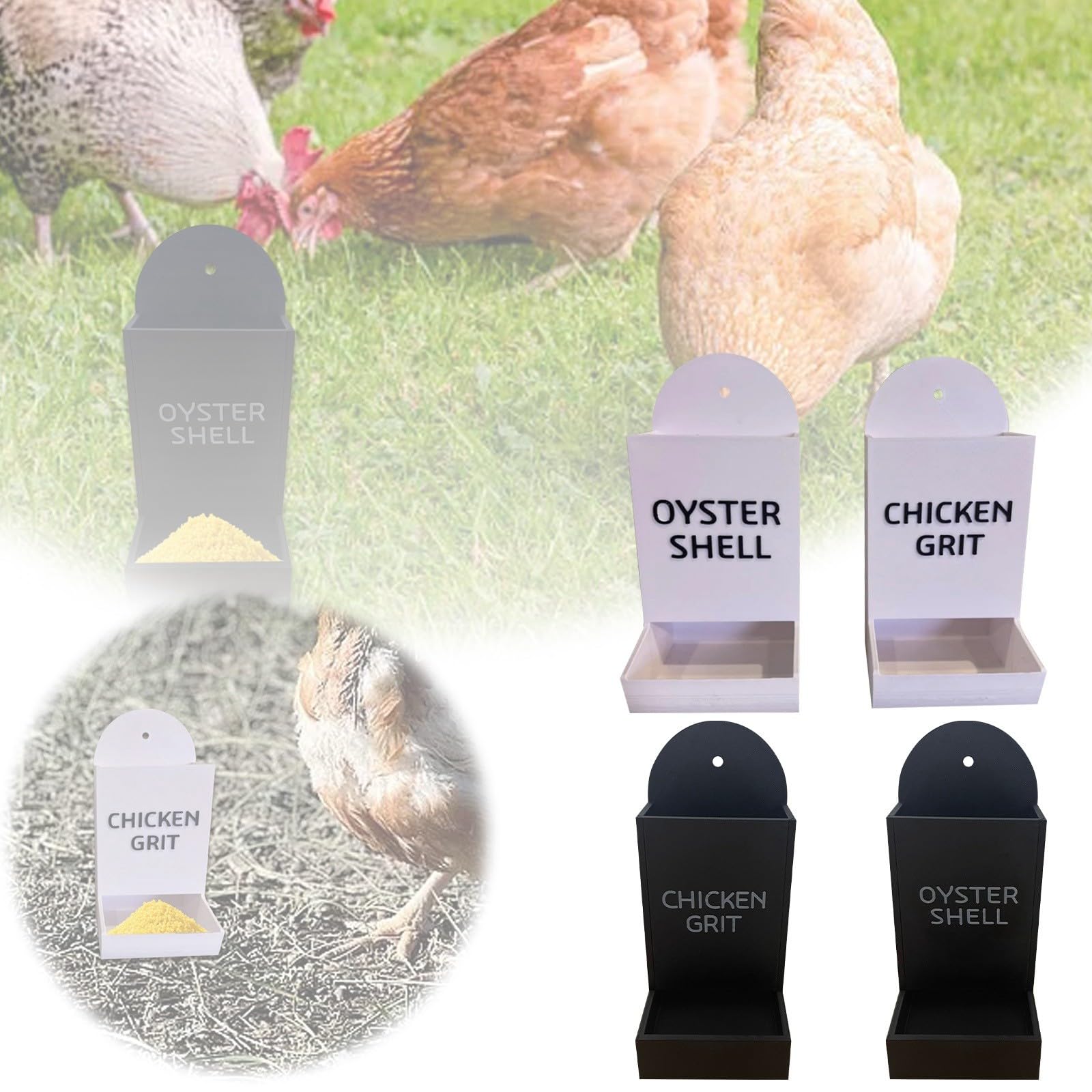 Hühner Futterspender Mit Austernschale - Automatischer Futtertrog Für Geflügel