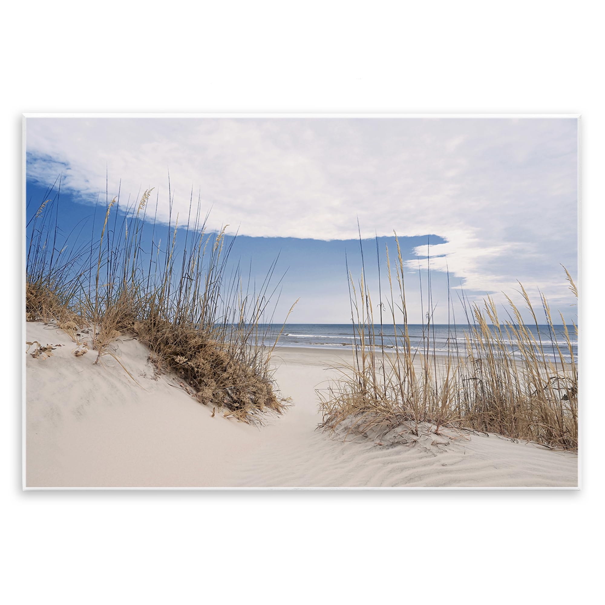 Stupell Industries 'Sea Oats Along Sandy Dunes', Wall Plaque Art, 19 x 13 Inches, Easy to Hang and Sturdy, Made in USA, by Natalie Carpentieri