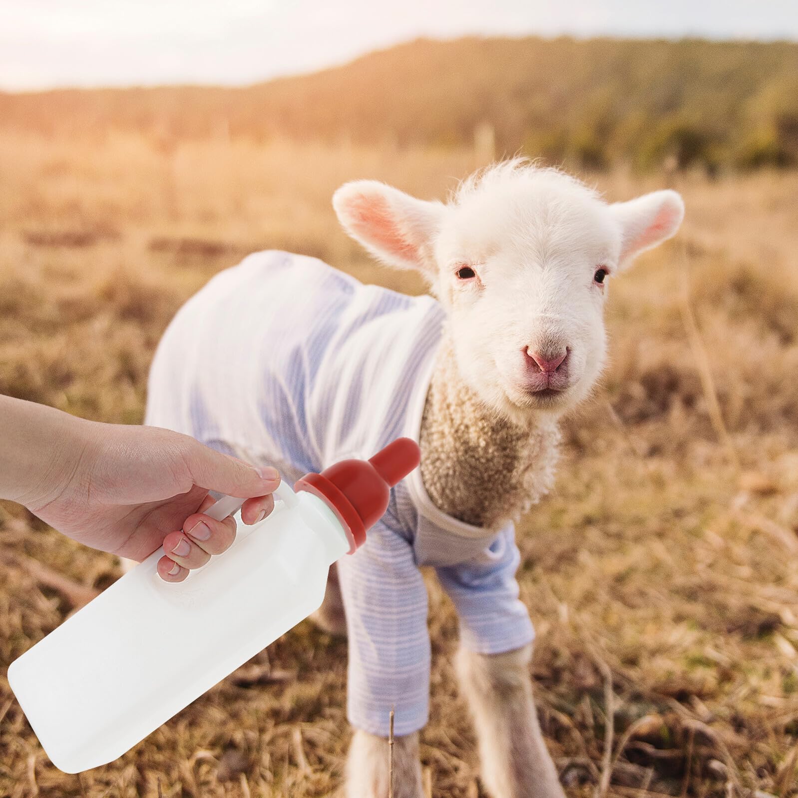 View 6