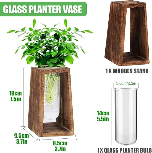 Miniatura 2 de Jarrón de tubo de ensayo de vidrio transparente para terrario de plantas, con soporte de madera maciza retro de rombo, estación de propagación de