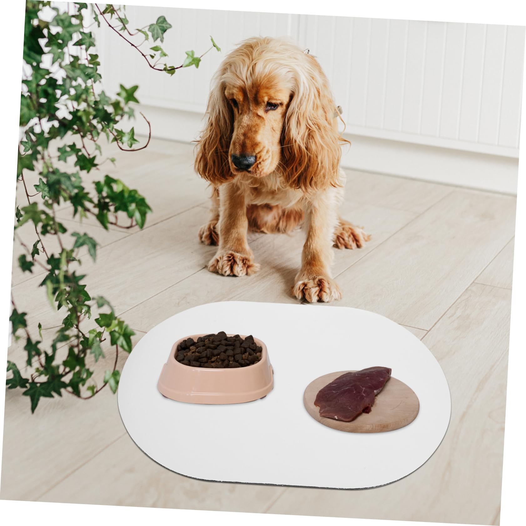 BESPORTBLE 4 Stücke Praktische Hund Matte Für Fütterung Schnell Trockenen Haustier Schüssel Matte Katze Schüssel Boden Matte