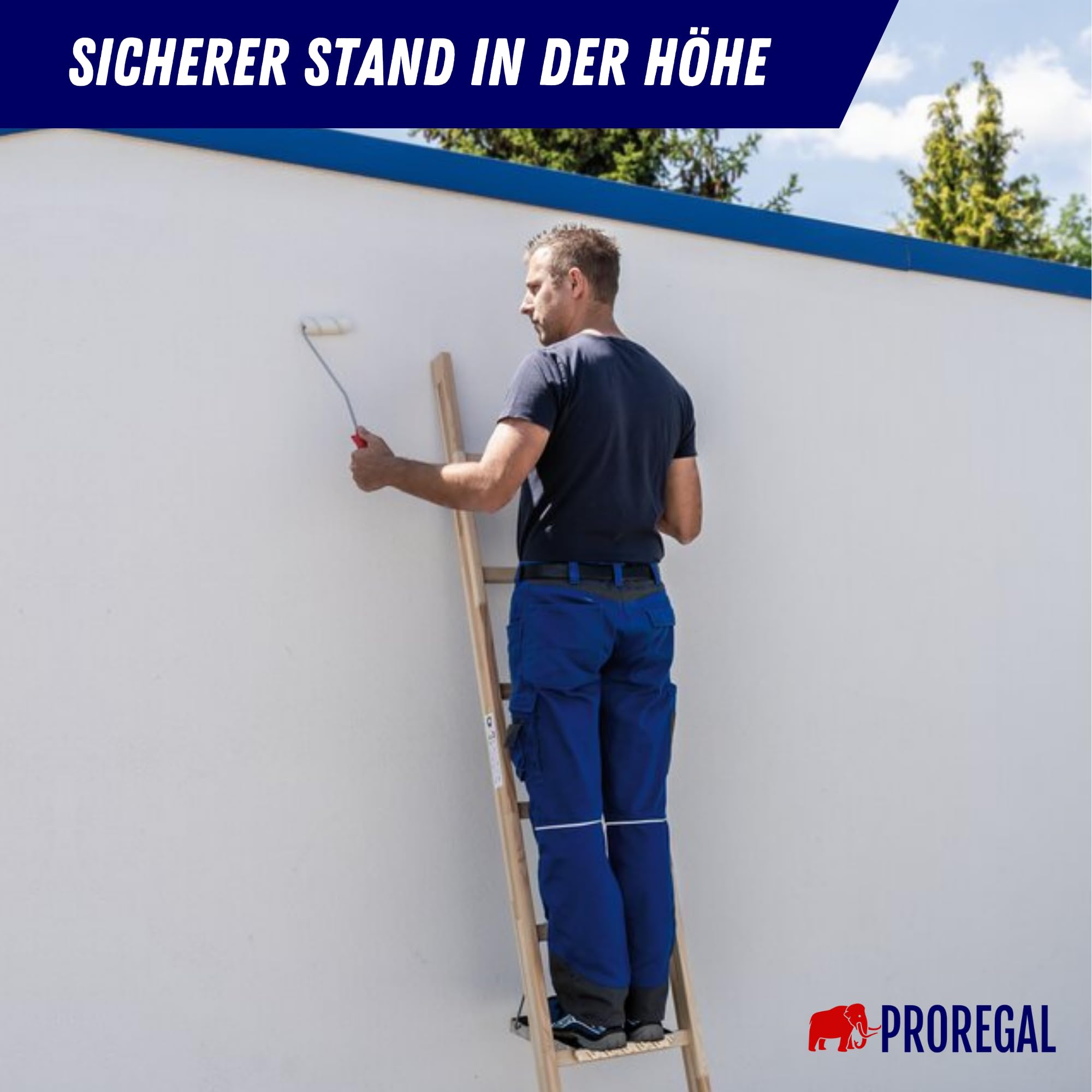 PROREGAL Sprossen-Anlegeleiter Holz ohne Traverse | 8 Sprossen | Leiter, Teleskopleiter, Trittleiter, Bockleiter, Sprossen-Doppelleiter