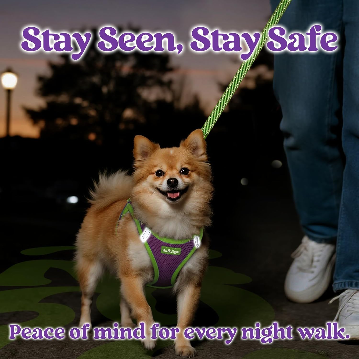 rabbitgoo Dog Harness Small Sized and Leash Set, Step-in Breathable Pet Harness, Soft Walking Reflective Puppy Vest for Small Dogs, Purple & Green, XXS