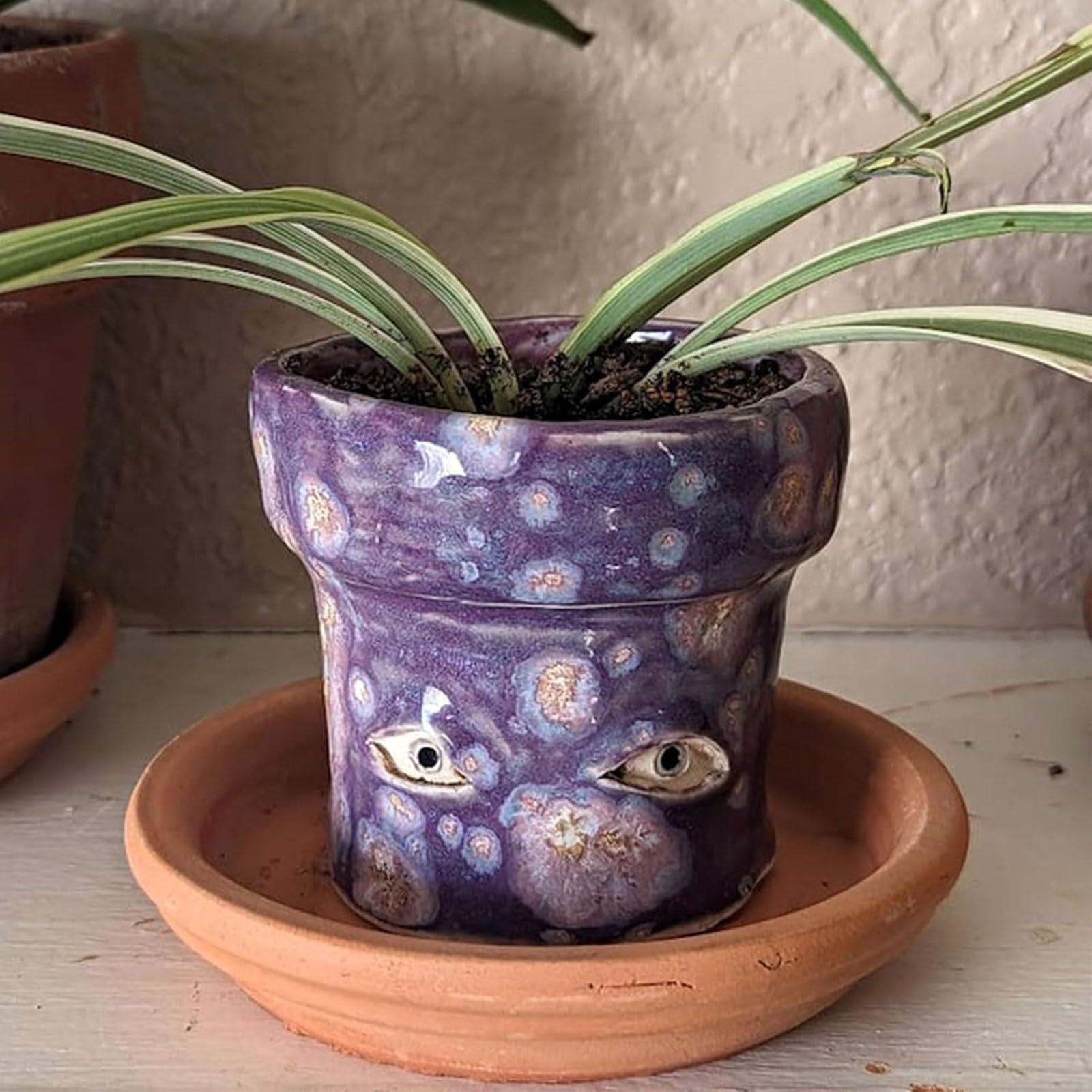 Amazon.co.jp: Zhuaguo ハンドメイド泣く植木鉢、面白い目の植木鉢