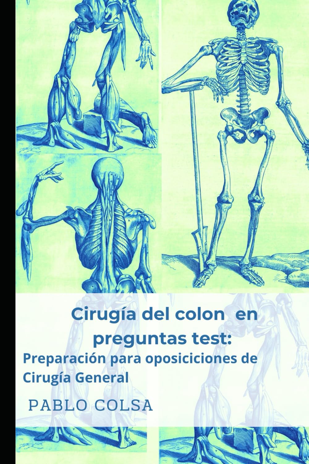 Cirugía del colon en preguntas test: Preparación para oposiciones de Cirugía General (Notas de Cirugía)