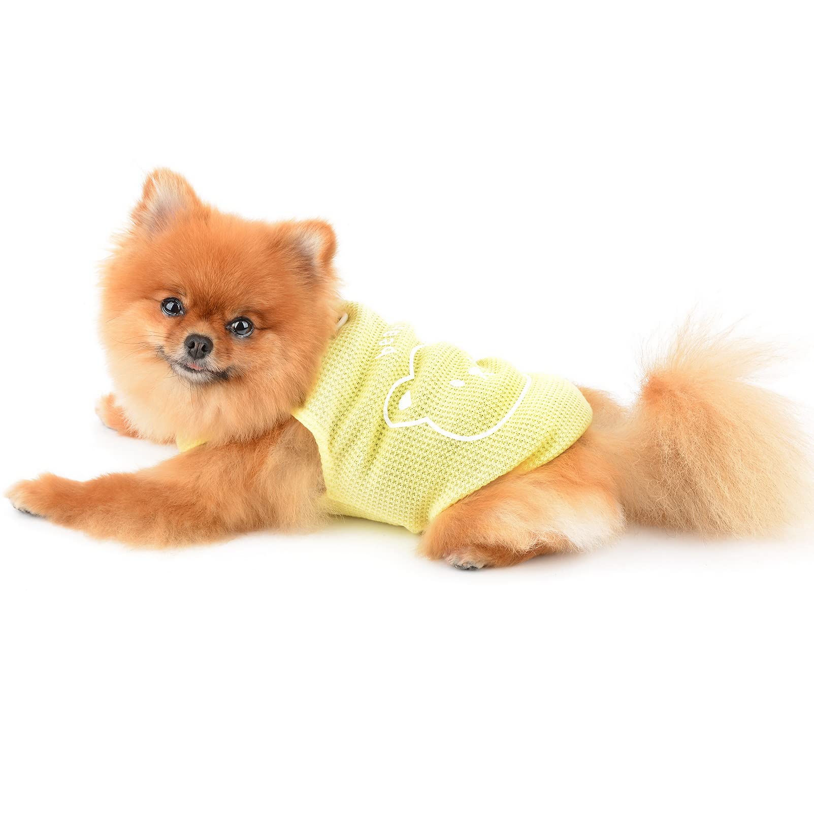 Amazon | SMALLLEE_LUCKY_STORE 犬 服 小型犬 春 夏 かわいい 子熊 
