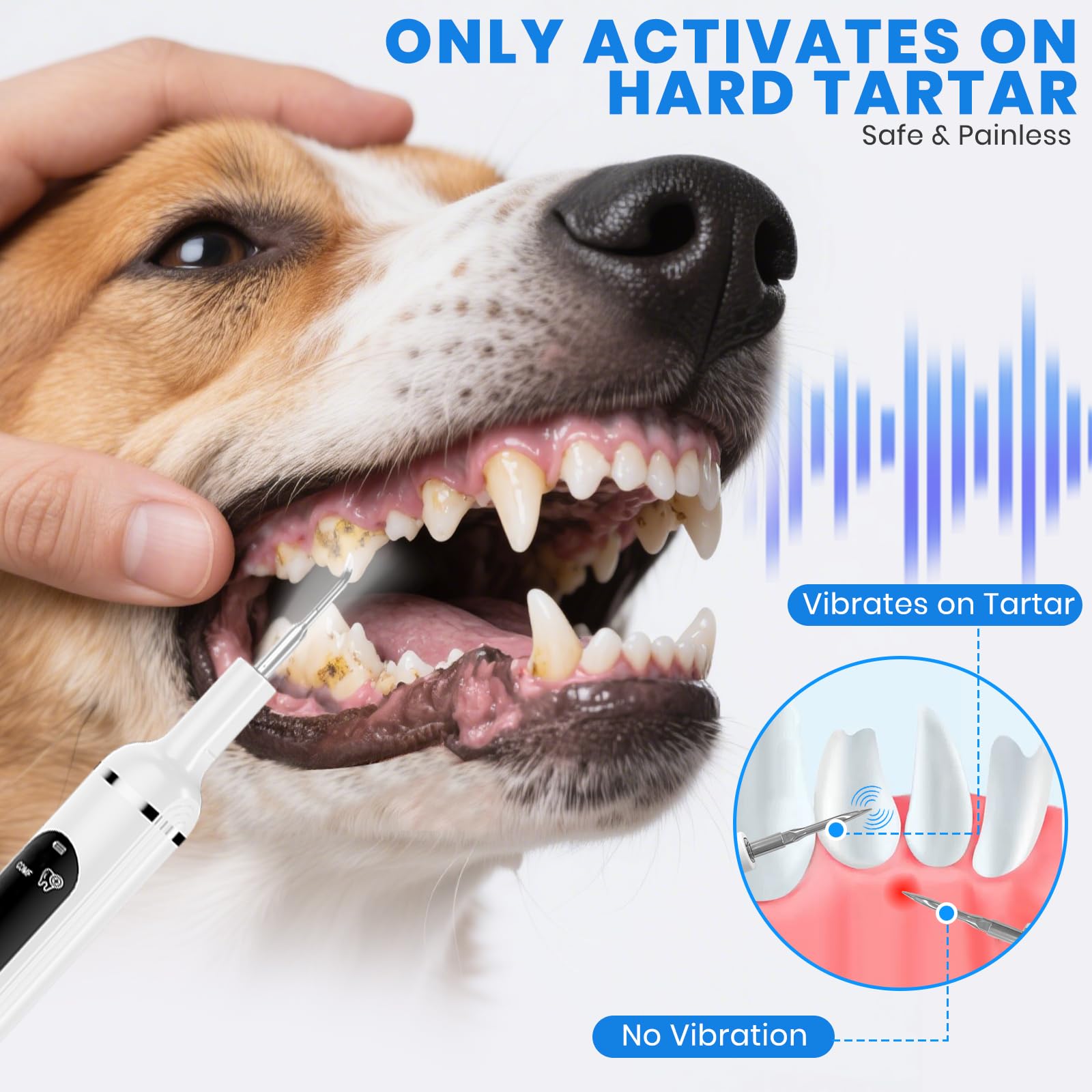 Dents pour chien, nettoyeur de dents à ultrasons avec lumière LED, kit de nettoyage pour tartre et taches, 5 modes réglables, kit de nettoyage des dents d'animaux domestiques, convient pour chiens et