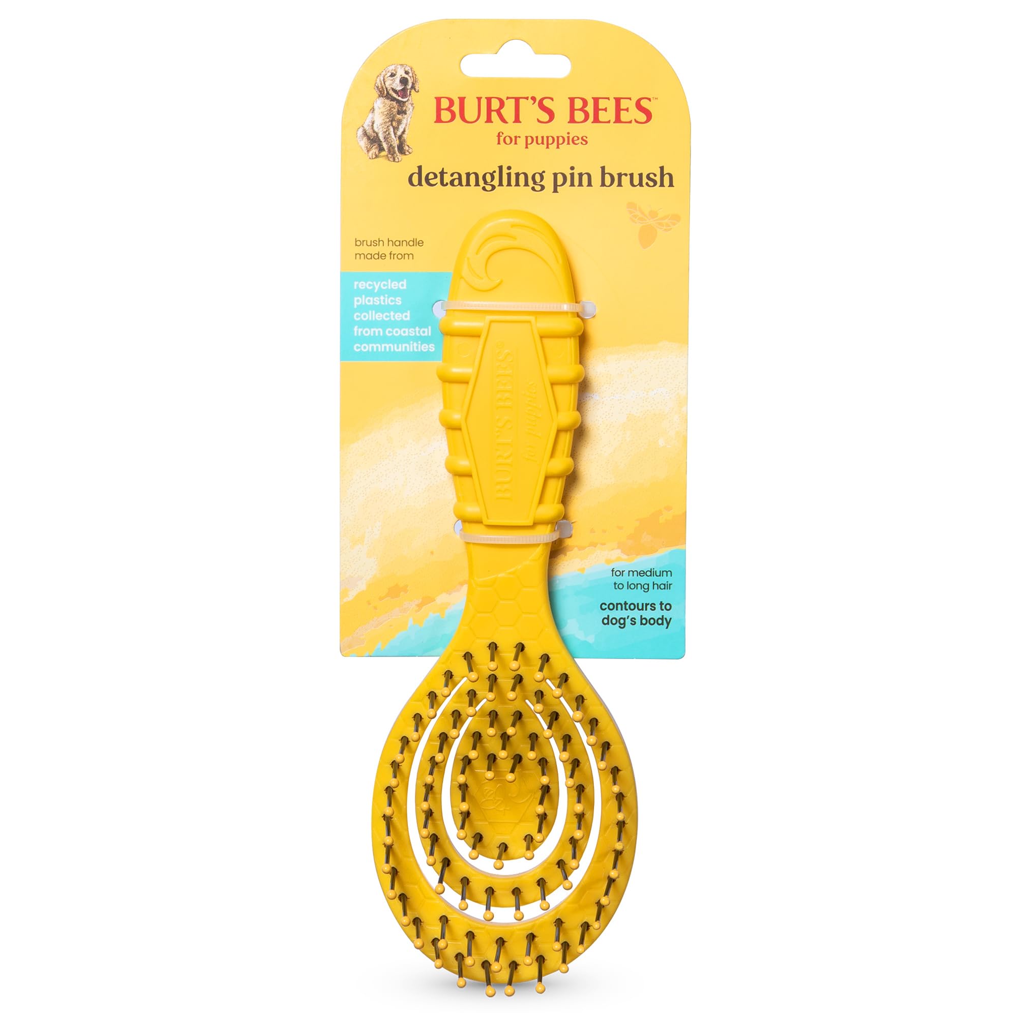 Burt's Bees for Pets Brosse démêlante pour chiots et petits chiens à poils moyens à longs | Manche en plastique recyclé 100% lié à l'océan | Brosse pour chien élimine les nœuds et desserre les tapis