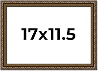 Vista 226 de Marco de fotos completo de madera dorada envejecida de 16 x 20 pulgadas con plexiglás acrílico UV, parte trasera de tablero de espuma y accesorios