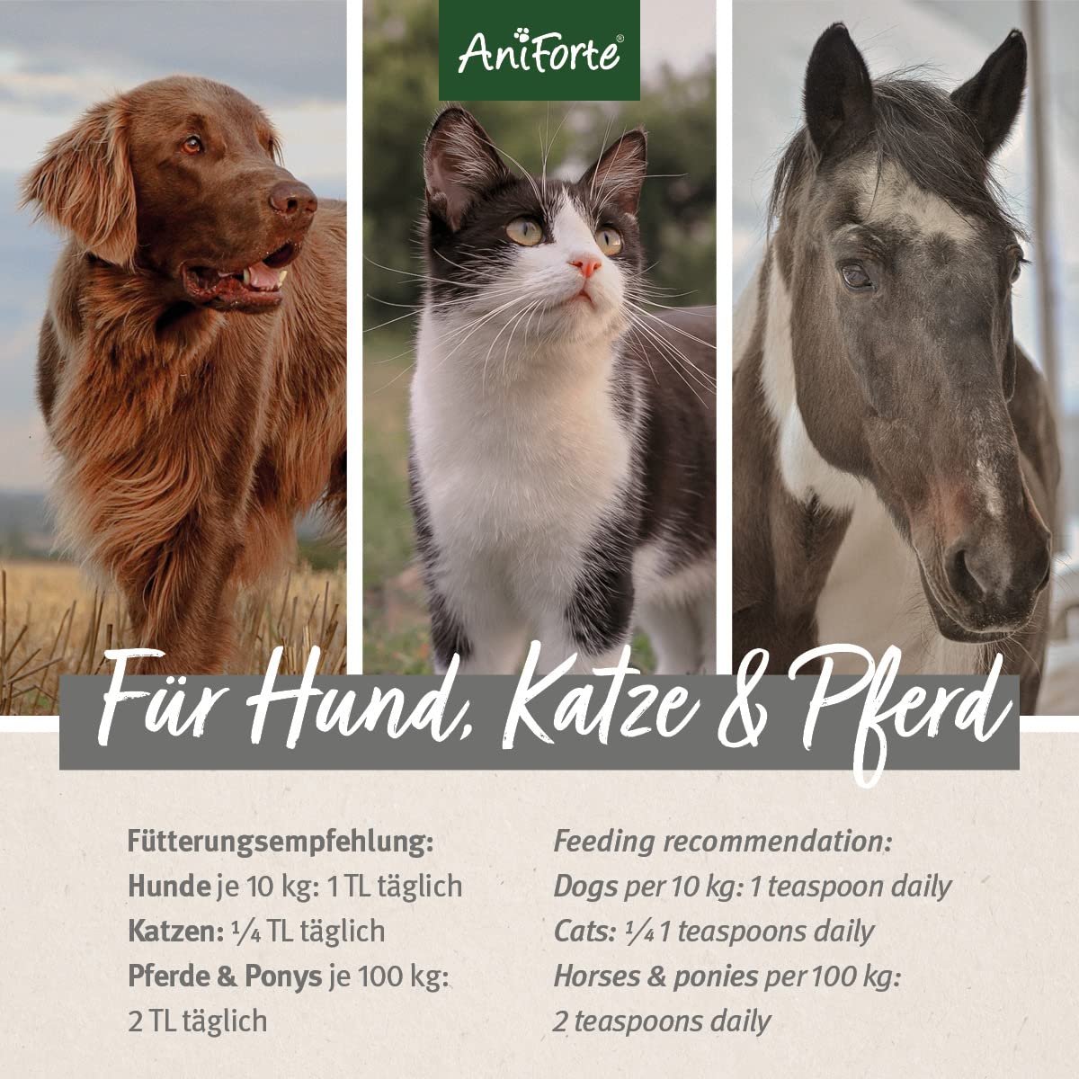 AniForte Huile de Graines de Chanvre Bio 1 L pour Chiens & Chevaux – Pressée à Froid, Pure et Naturelle, Complément Alimentaire sans Additifs
