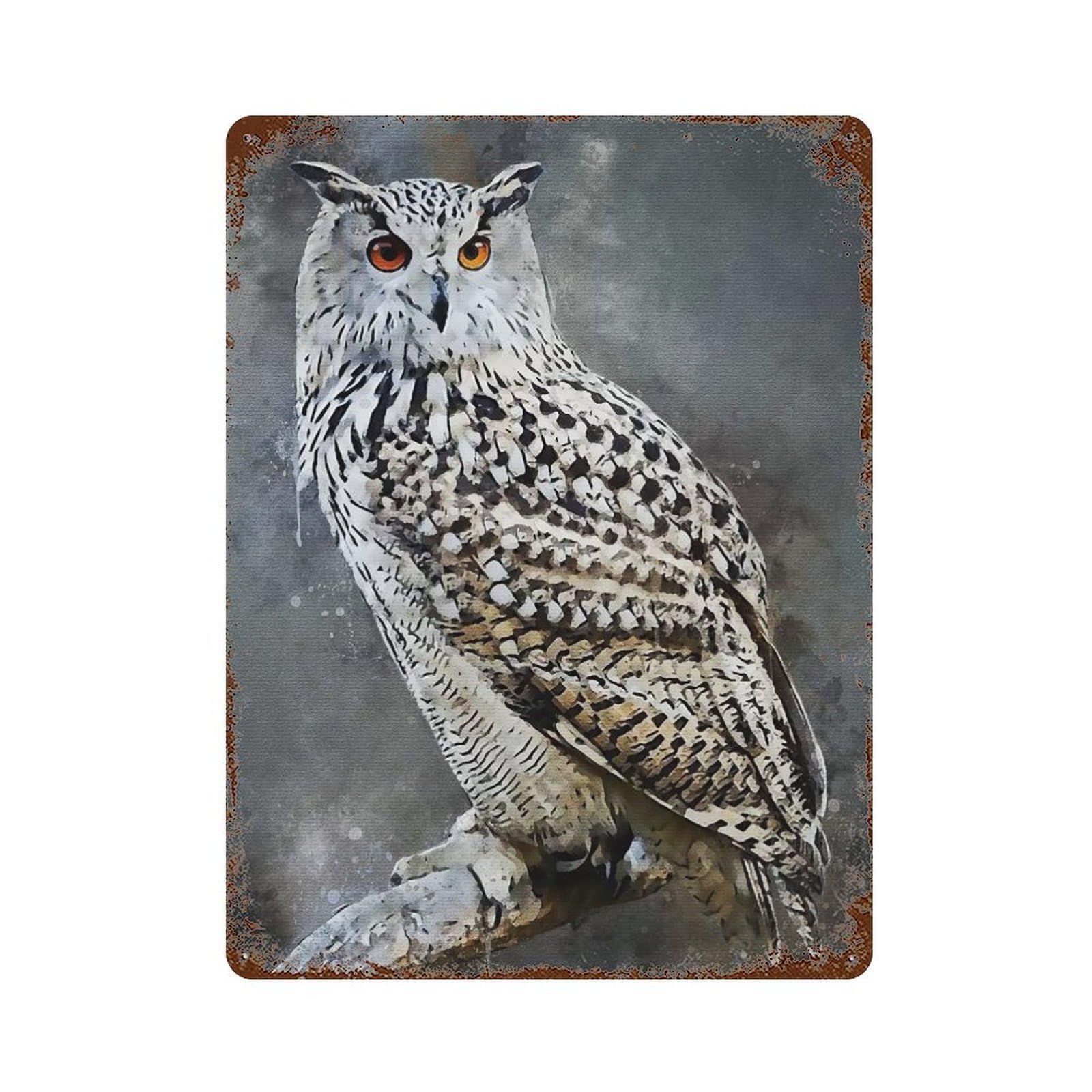 Garage Style Owl Watercolor New Distressed Metal Wall Sign 15.7"x11.8", Farmhouse Wall Decor for Bar And Workshop