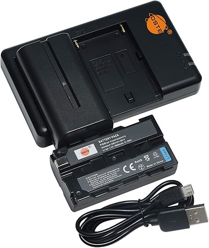 DSTE Repuesto para 2 baterías NP-F550 + cargador de batería dual rápido con cable micro USB compatible con cámara Sony CCD-RV100 CN-160 CN-216