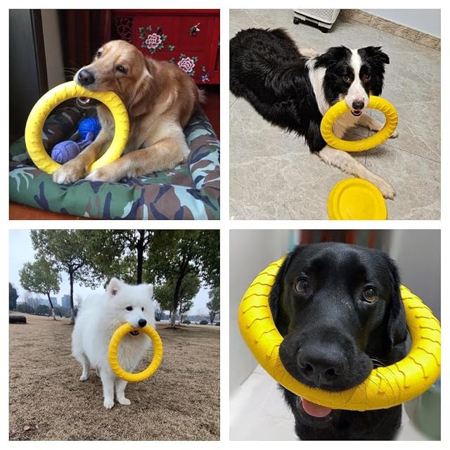 Foto 5 de 7 de JINRETUTE Anillo de mosca para perro, anillo de fitness flotante para perro
