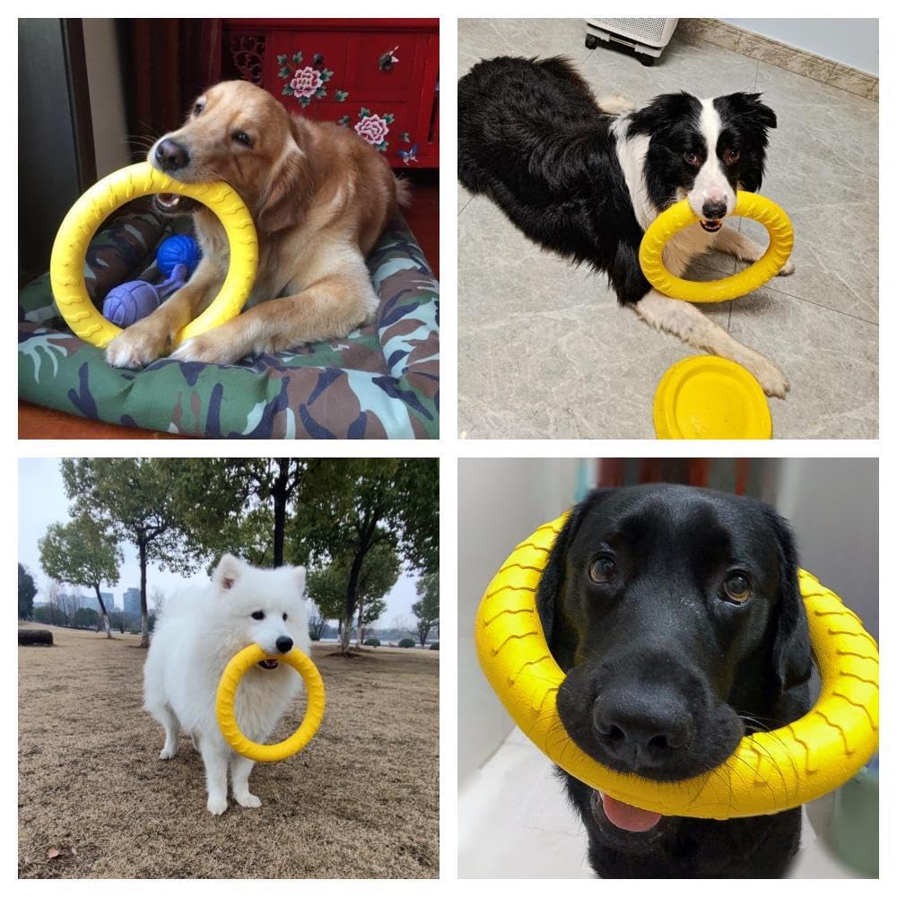 Anillo de mosca para perro, anillo de fitness flotante para perro, juguetes de disco volador para perros al aire libre, juguetes masticables duraderos para entrenamiento al aire libre,