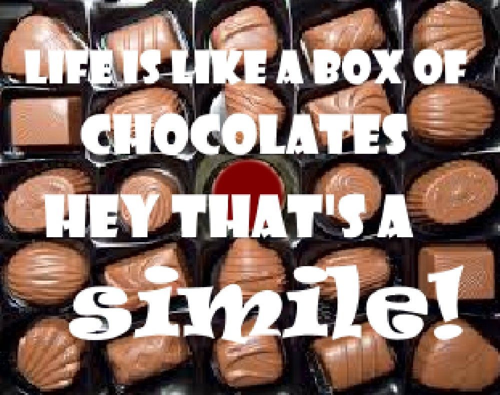 Life is Like a Box of Chocolates Put Punch in Your Writing with