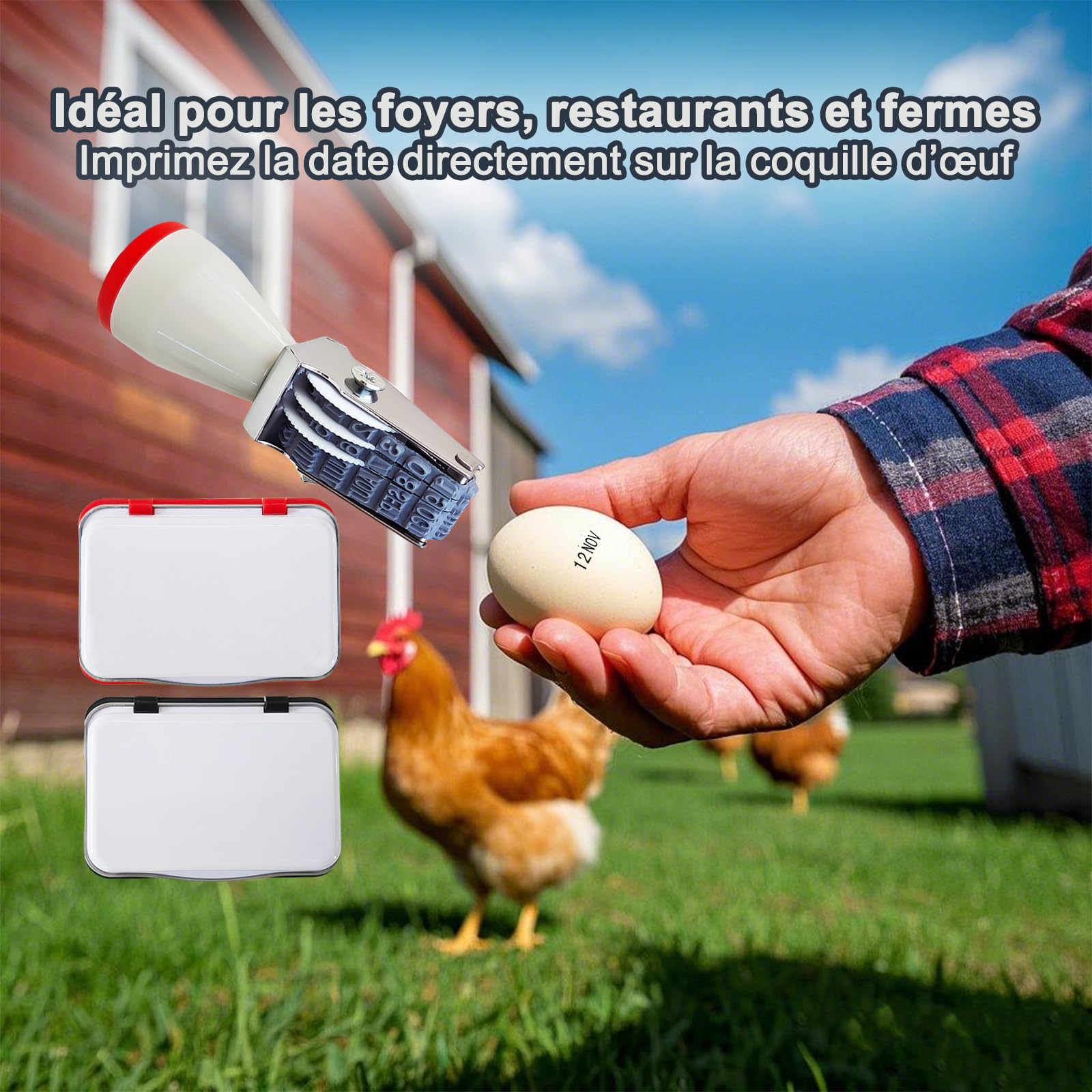 Tampon Dateur à Encrage Séparé - Plage 2025-2036 - Bande Silicone Lavable - Pour Marquage Œufs, Documents