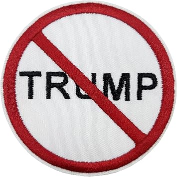 Cute-Patch FDT AntiICE Protest Slogan Embroidered Patch AntiAuthoritarian Statement IronOn