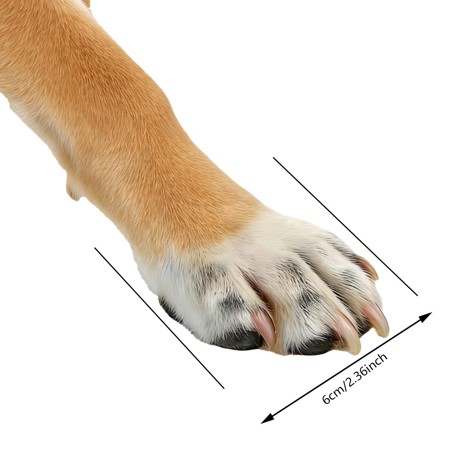 Calzini antiscivolo per cani, 4 pezzi, 5 cm | Stivali Cane,Poliestere Pelle Gomma,con Strisce Riflettenti Traspirante,Per Passeggiata,Cani Piccoli,Cani Medii