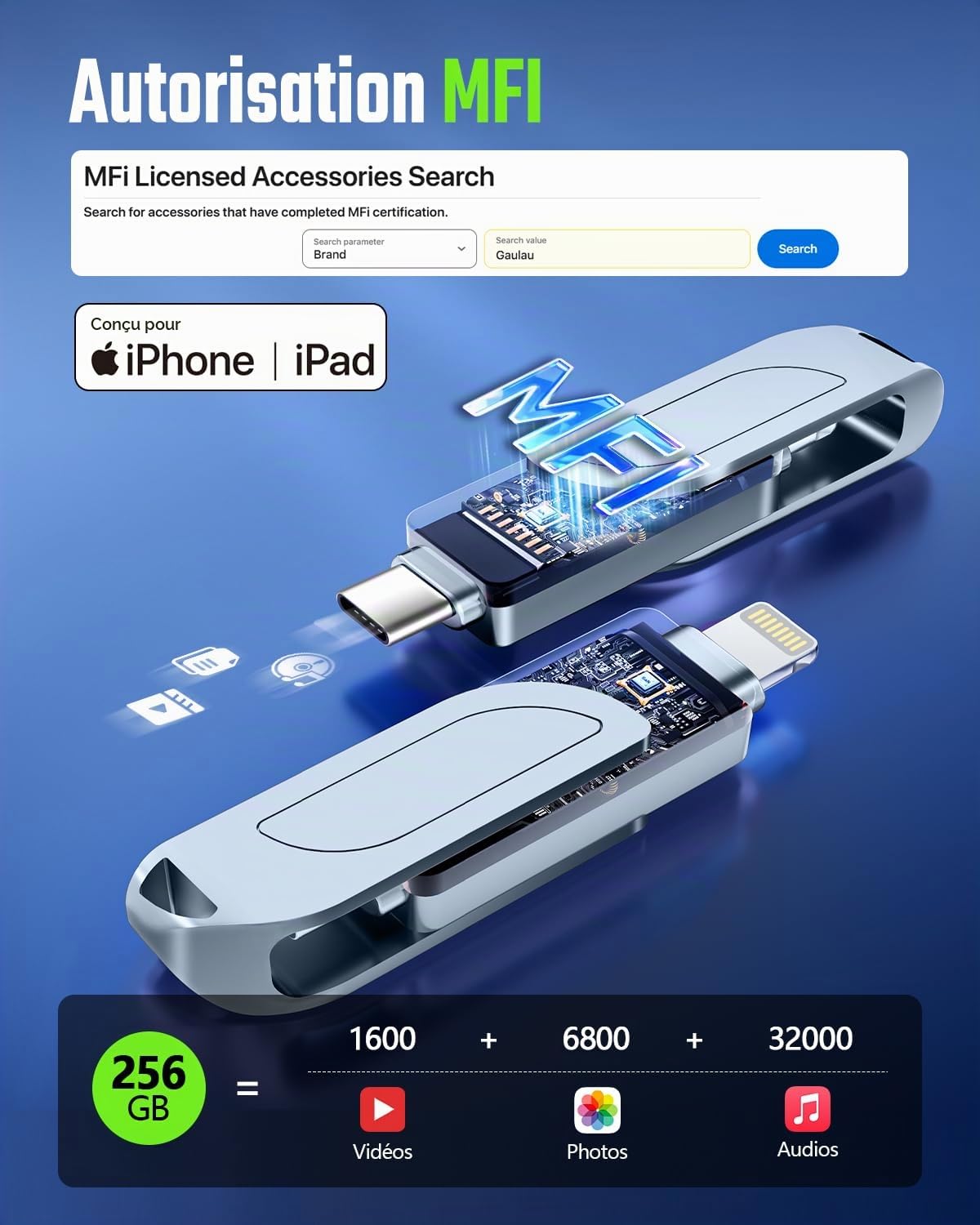 [sans App] Cle USB 256 Go,MFi Clé USB C pour iPhone,Lightning,USB 3.0,Gris