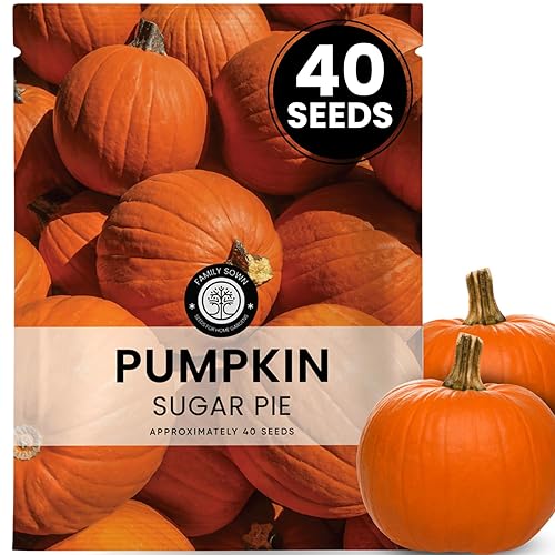 Sugar Pie Pumpkin Seeds – 40 Premium Seeds for Planting