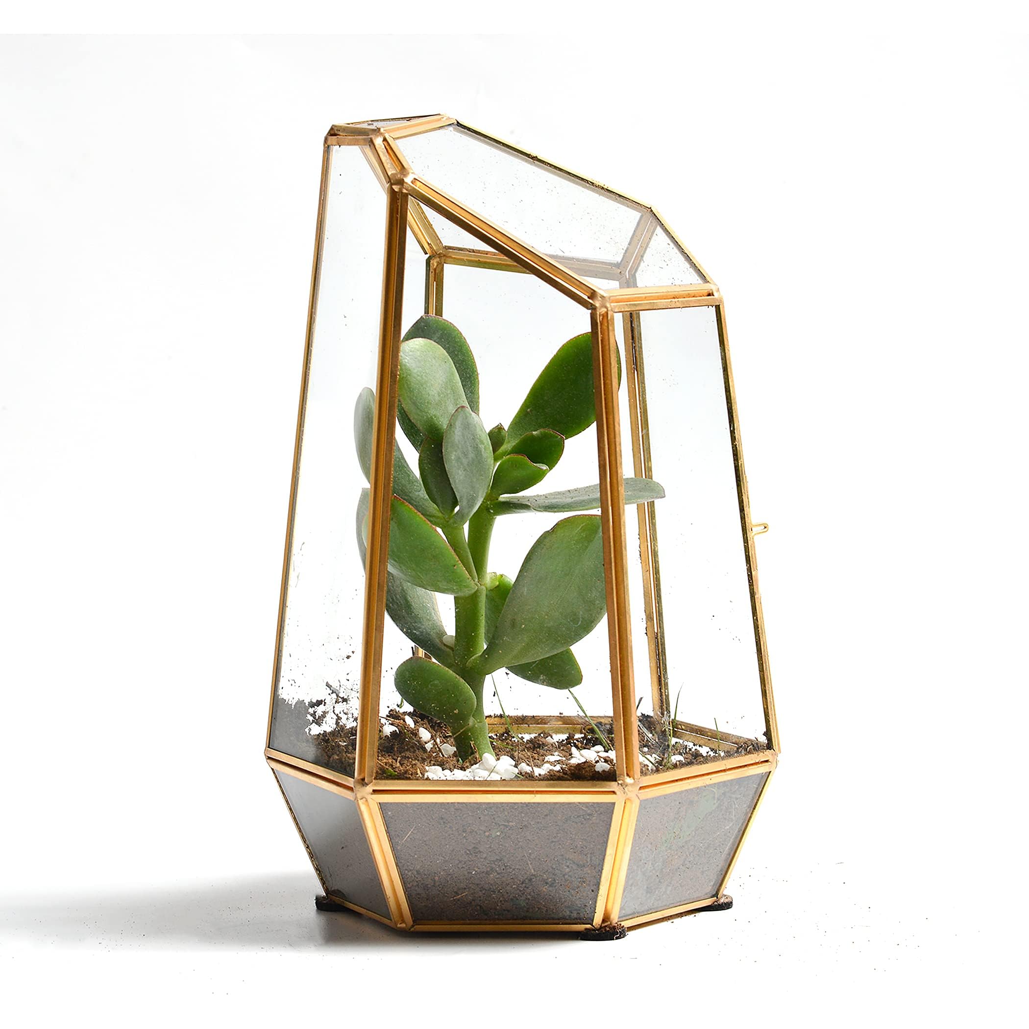 Photo 1 of Golden Geometric Glass Terrarium with Door - 9.8" Tall Irregular Clear Planter for Succulents,Ferns,Moss,Cacti | Indoor Fairy Garden,Tabletop Display,Wedding Home Decoration (Plants Not Included)