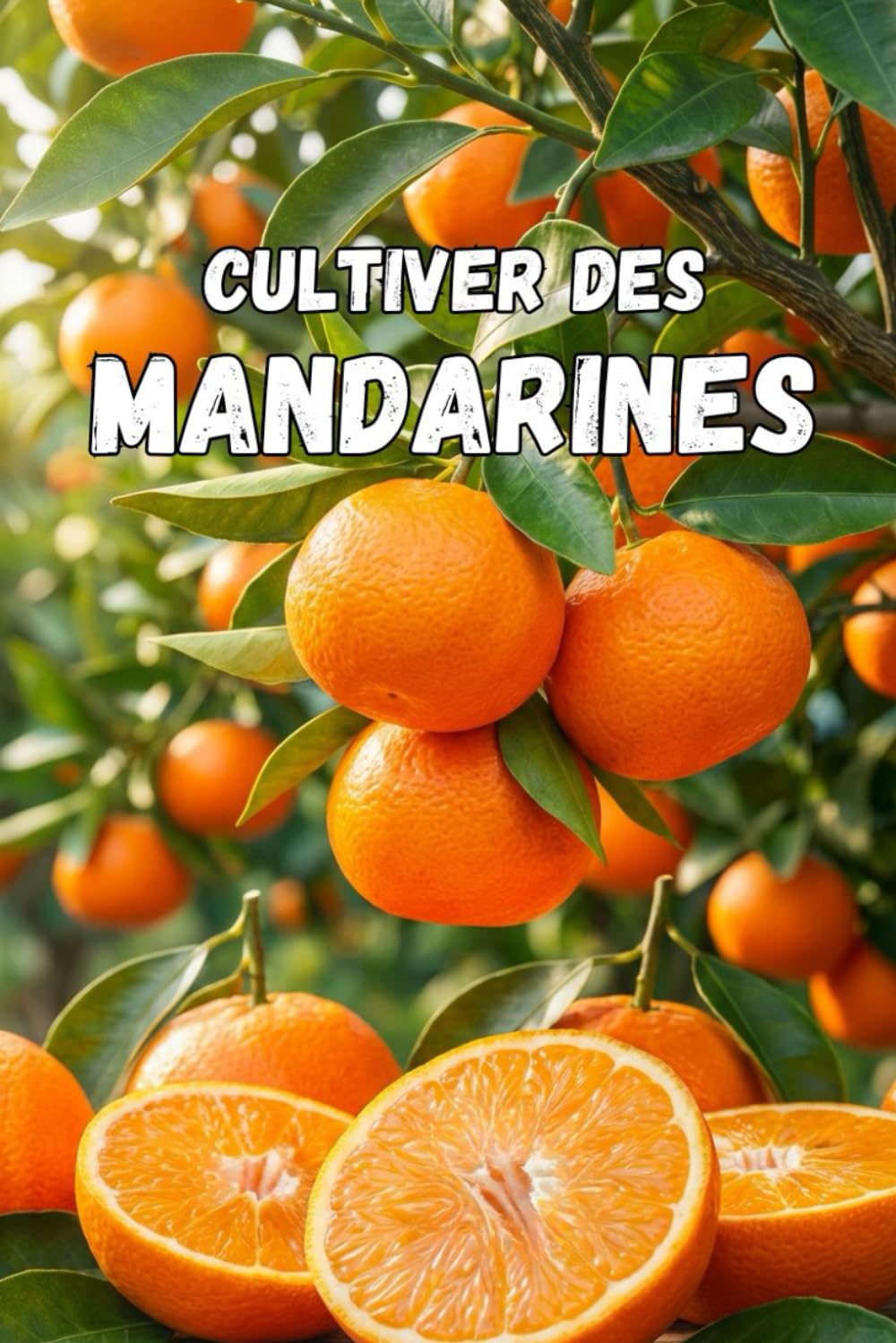 Cultiver des mandarines: Guide complet de la culture des mandarines : variétés, plantation, entretien, protection contre les ravageurs et technologies modernes pour une récolte de haute qualité