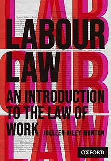 Labour Law: An Introduction to the Law of Work