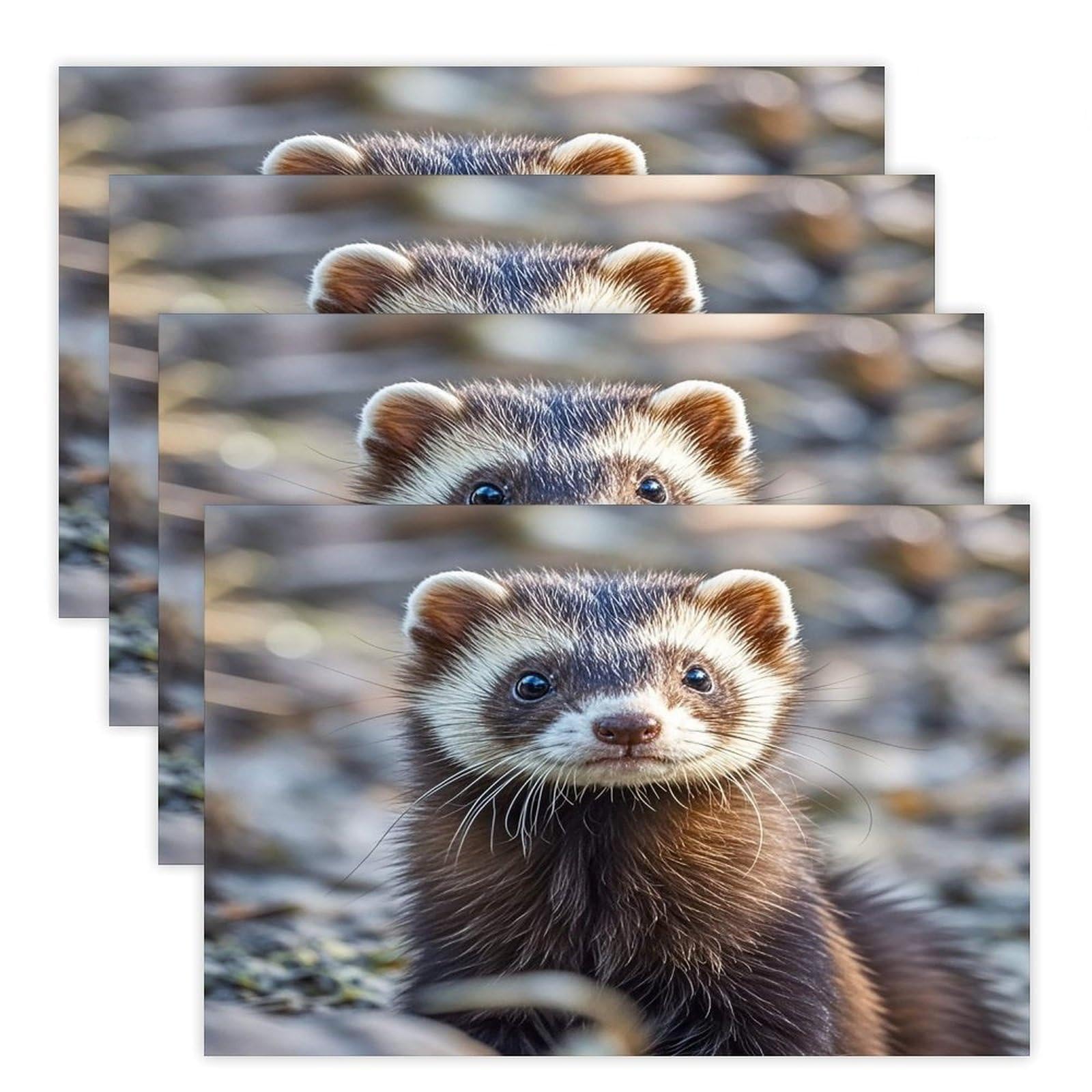 Hairy Ferret Placemats Flax Place Mats for Dining Table Rectangle Non-Slip Table Mats Heat Resistant Washable Placemat for Kitchen Home Decor Party Outdoor 12" X 18"